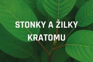 Stonky a žilky kratomu aneb jak se zbavit závislosti na kratomu