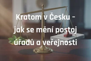 Kratom v Česku – jak se mění postoj úřadů a veřejnosti