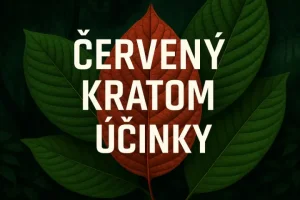 Červený kratom účinky – uvolní tělo i mysl, zlepší spánek, utlumí bolesti