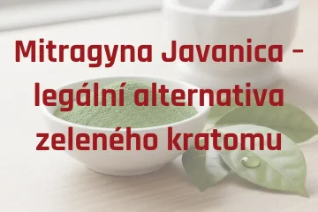 Mitragyna Javanica – legální alternativa zeleného kratomu