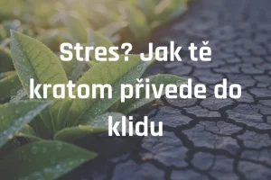 Stres? Jak tě kratom přivede do klidu