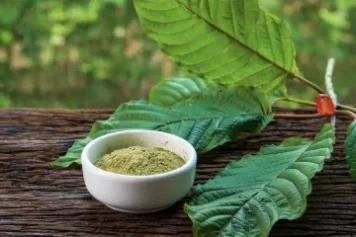 Kratomblattpulver RageFitness