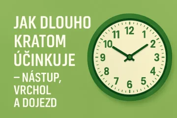 Jak dlouho kratom účinkuje – nástup, vrchol a dojezd