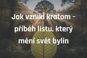 Jak vznikl kratom – příběh listu, který mění svět bylin