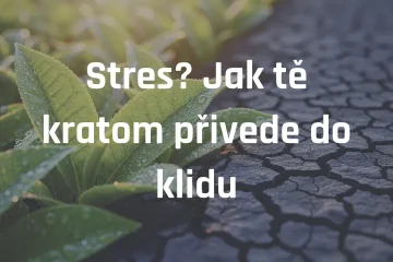 Stres? Jak tě kratom přivede do klidu
