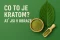 Co to je kratom? Účinky, dávkování a rizika v 1 článku