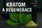 Kratom na regeneraci po tréninku – jaký druh zvolit?