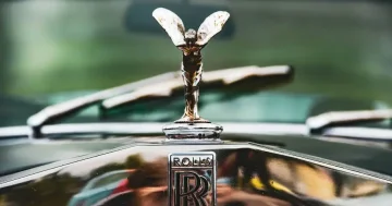 Qualitativ hochwertiges Kratom garantiert Ihnen Sicherheit und die gewünschte Wirkung