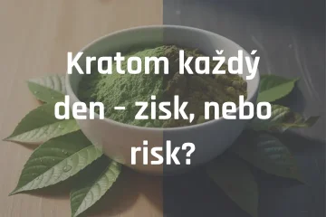 Kratom každý den – zisk, nebo risk?
