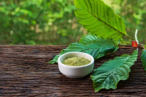 testy kratomu