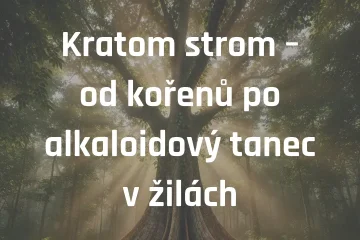 Kratom strom – od kořenů po alkaloidový tanec v žilách