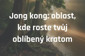 Jong kong: oblast, kde roste tvůj oblíbený kratom