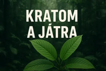 Kratom a játra – mýtus, nebo reálné riziko?