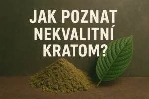 Jak poznat nekvalitní kratom? Kompletní průvodce pro každého, kdo nechce šlápnout vedle