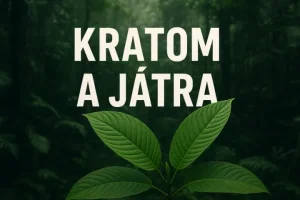 Kratom a játra – mýtus, nebo reálné riziko?
