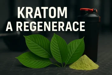 Kratom na regeneraci po tréninku – jaký druh zvolit?