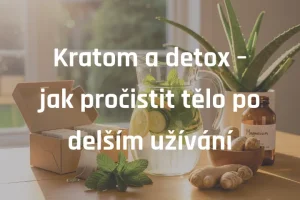 Kratom a detox – jak pročistit tělo po delším užívání