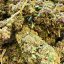 CBD Blüten Lime Purple 10 %