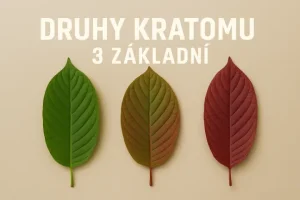 Druhy kratomu – 3 základní, nekonečno dalších