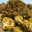 THC-RF - Menge: 5 g