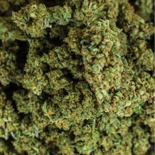 CBD Květy Lime Purple