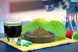 Kratom-Tests garantieren Ihnen Qualität und Sicherheit