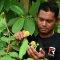 Kratom: Nejlepší kvalita, účinky a výhody přírodní síly pro váš život