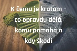 K čemu je kratom – co opravdu dělá, komu pomáhá a kdy škodí