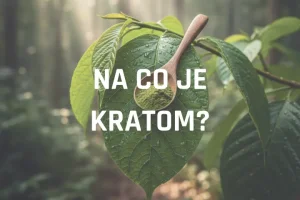 Na co je kratom. Objev sílu přírody, která mění životy