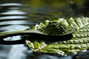 Dosierung von Kratom - jedes Gramm zählt