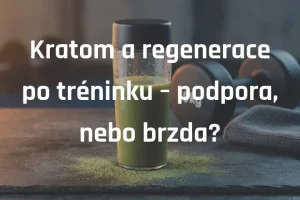 Kratom a regenerace po tréninku – podpora, nebo brzda?