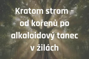 Kratom strom – od kořenů po alkaloidový tanec v žilách