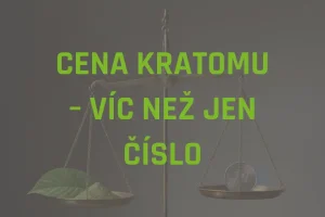 Cena kratomu – víc než jen číslo