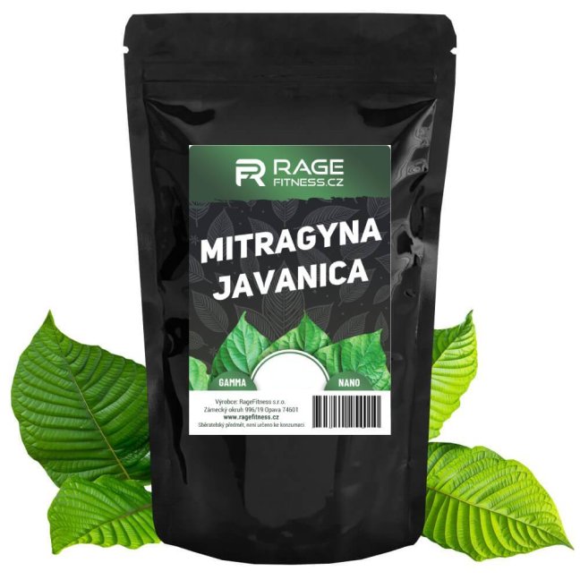 Mitragyna Javanica