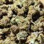 CBD 2-10 mm paličky mix